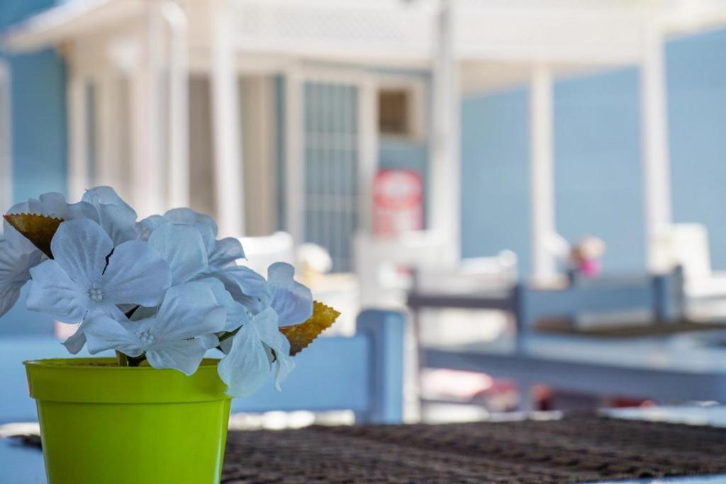 Cesme Minerva Port Hotel Екстер'єр фото